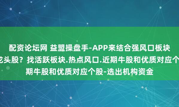 配资论坛网 益盟操盘手-APP来结合强风口板块找到相对的行业龙头股？找活跃板块.热点风口.近期牛股和优质对应个股-选出机构资金
